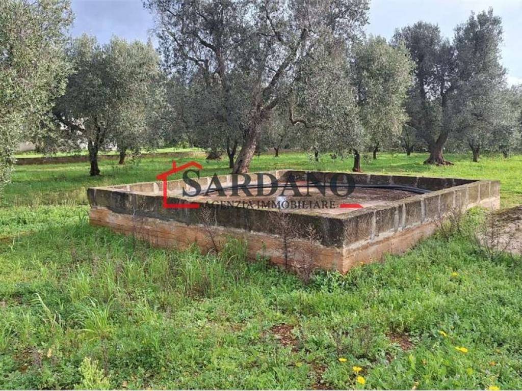 Terreno a Carovigno - Foto 5