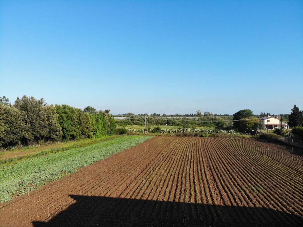 Villa a San sperate - Foto 2