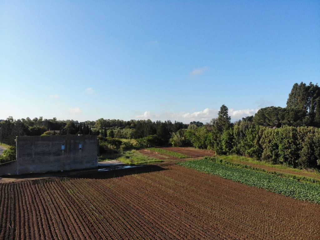 Villa a San sperate - Foto 4