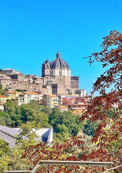 immagine di copertina