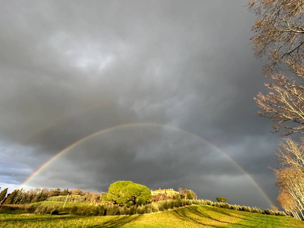 Rustico / casale a Suvereto - Foto 2