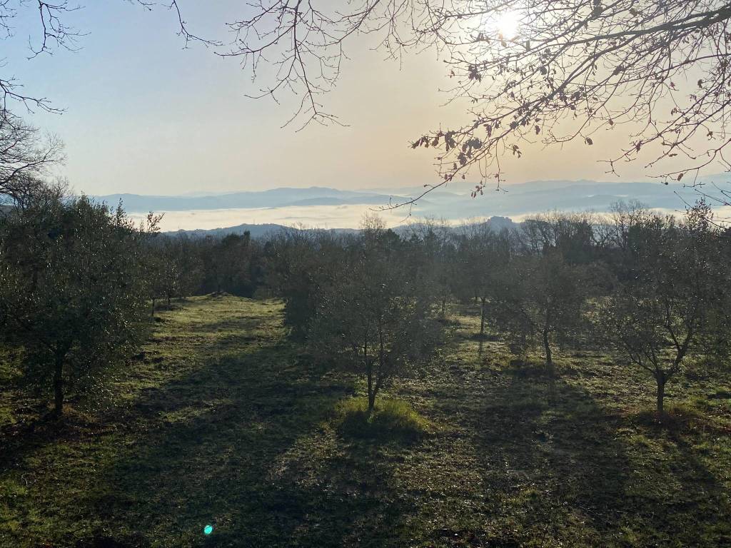 Rustico / casale a Suvereto - Foto 3