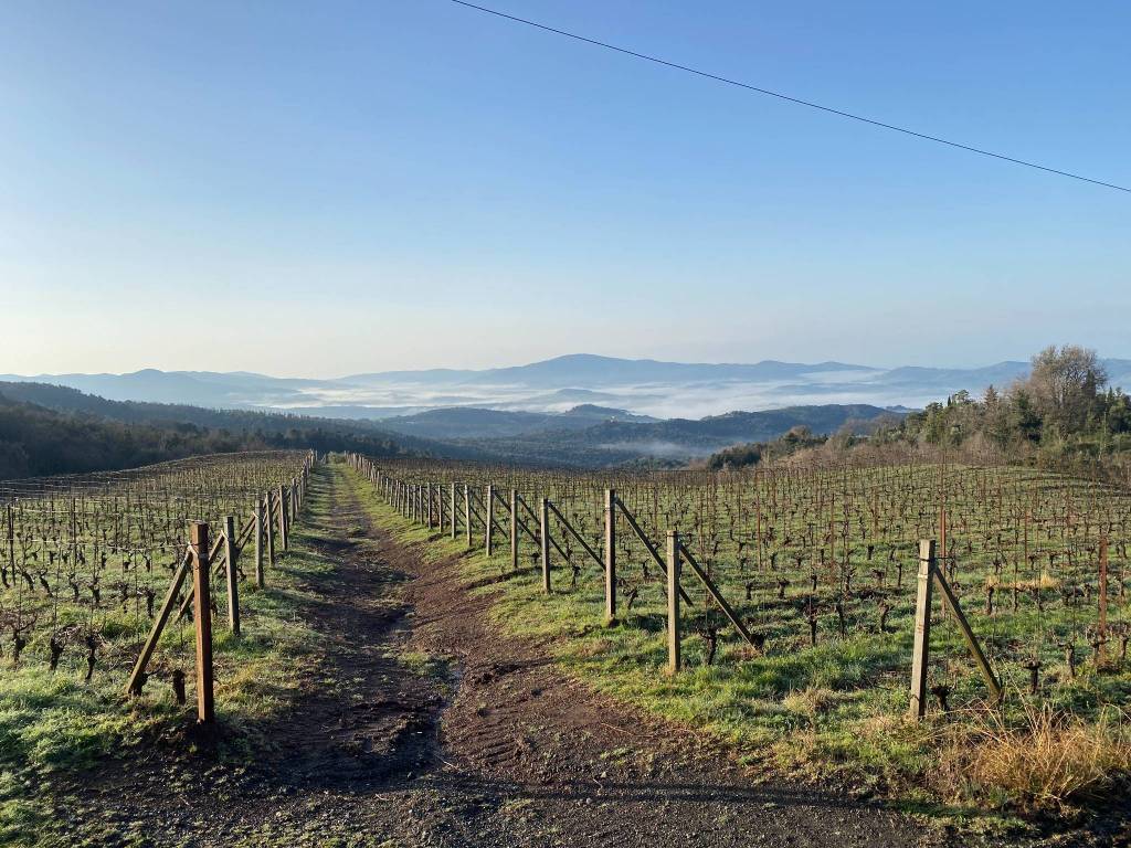 Rustico / casale a Suvereto - Foto 4