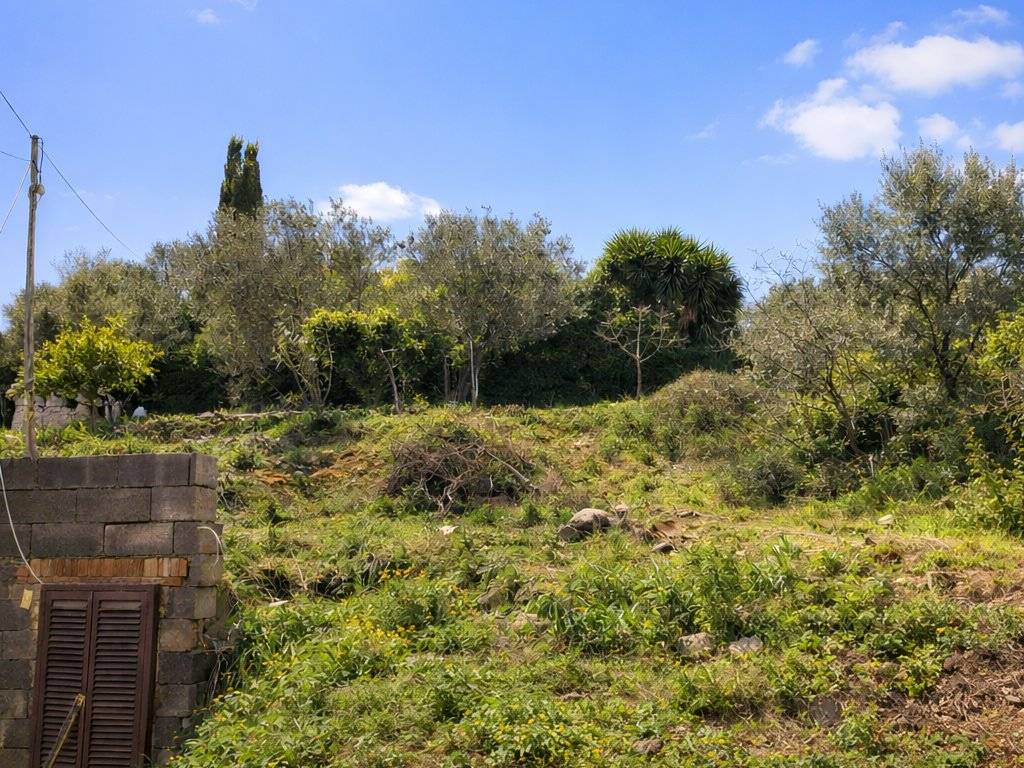 Rustico / casale a Monte argentario in Località Pispino - Foto 5