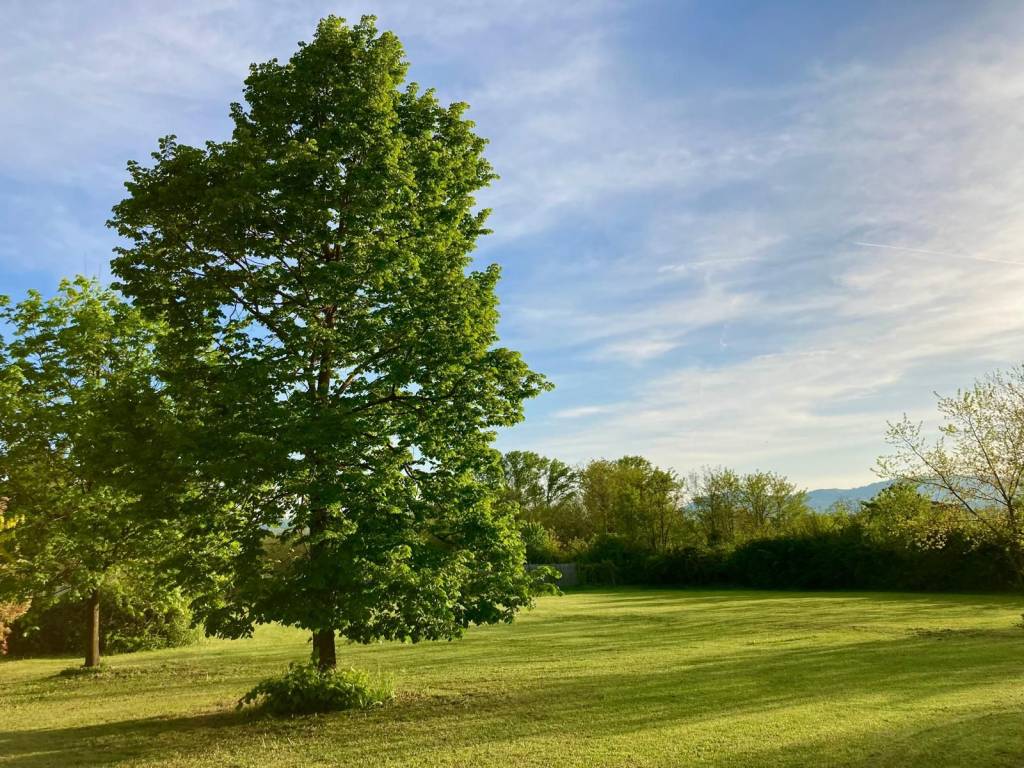 Rustico / casale a Rivergaro in Località Trebbiola - Foto 5