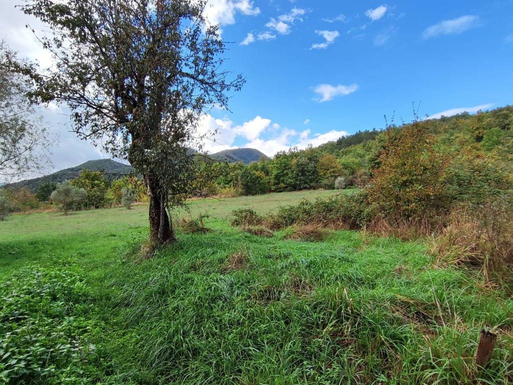 Terreno a Cassano irpino in Contrada Longa - Foto 2