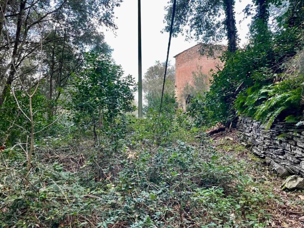 Rustico / casale a Rio - Foto 2