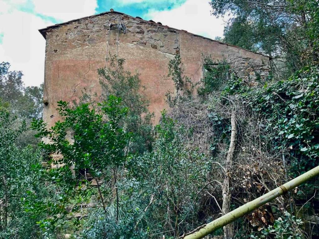 Rustico / casale a Rio - Foto 3