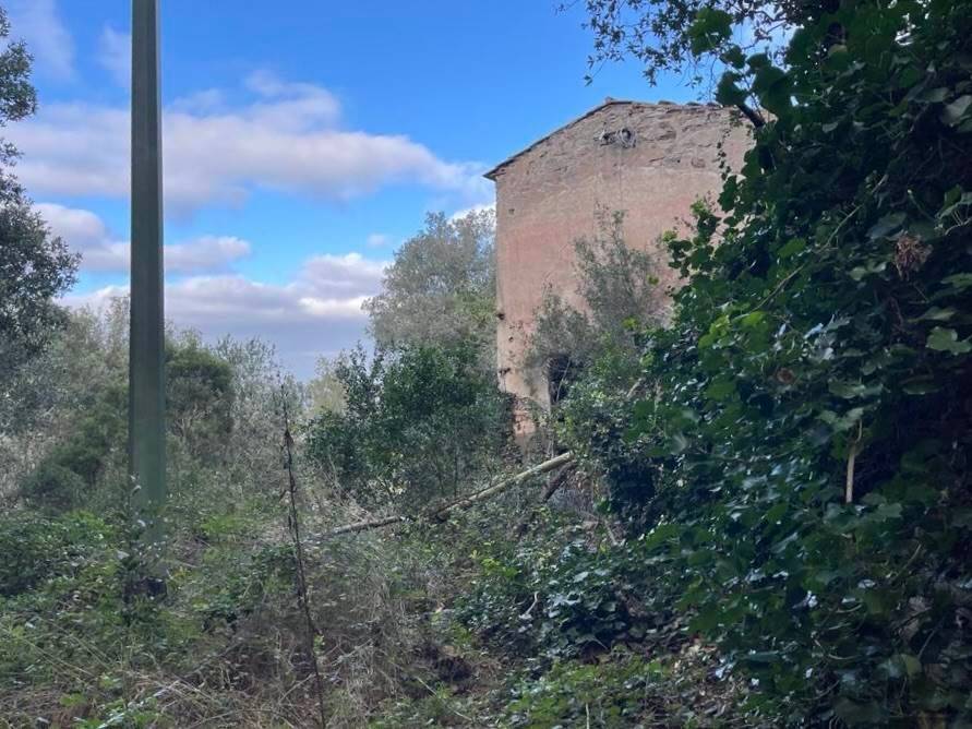 Rustico / casale a Rio - Foto 4