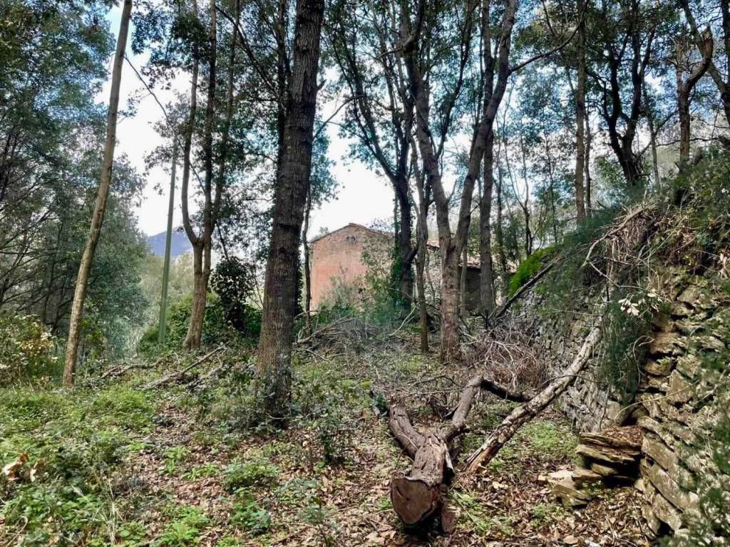 Rustico / casale a Rio - Foto 5
