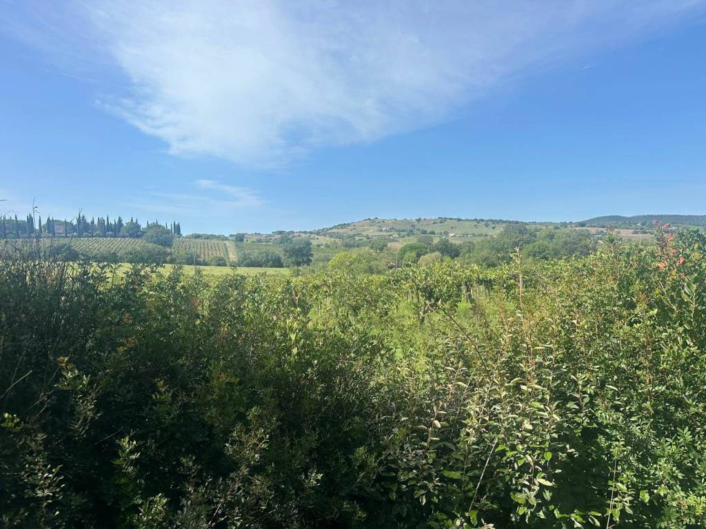 Rustico / casale a Magliano in toscana - Foto 2