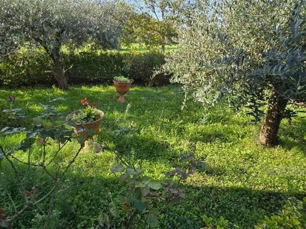 Villa a Castelfranco di sotto - Foto 2