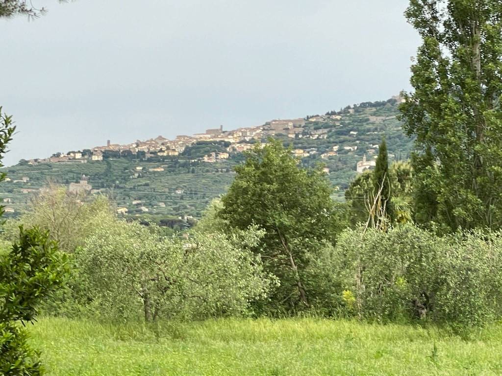 Rustico / casale a Cortona in Ossaia - Foto 2