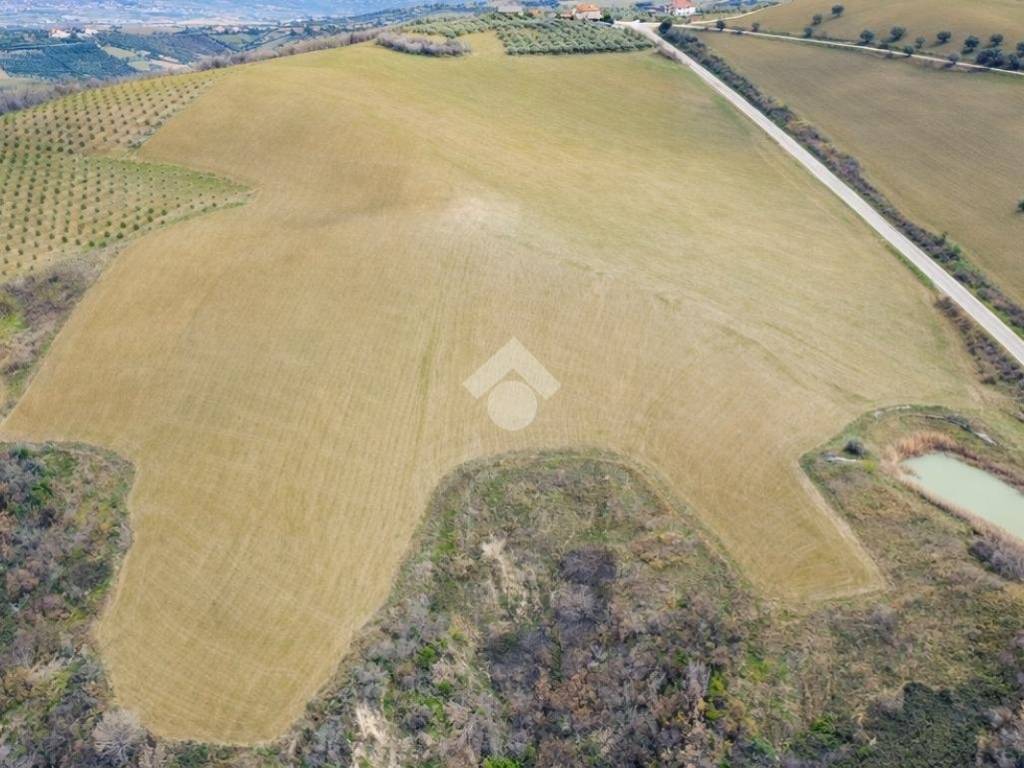 Terreno a Notaresco in Contrada Vallevignale - Foto 2
