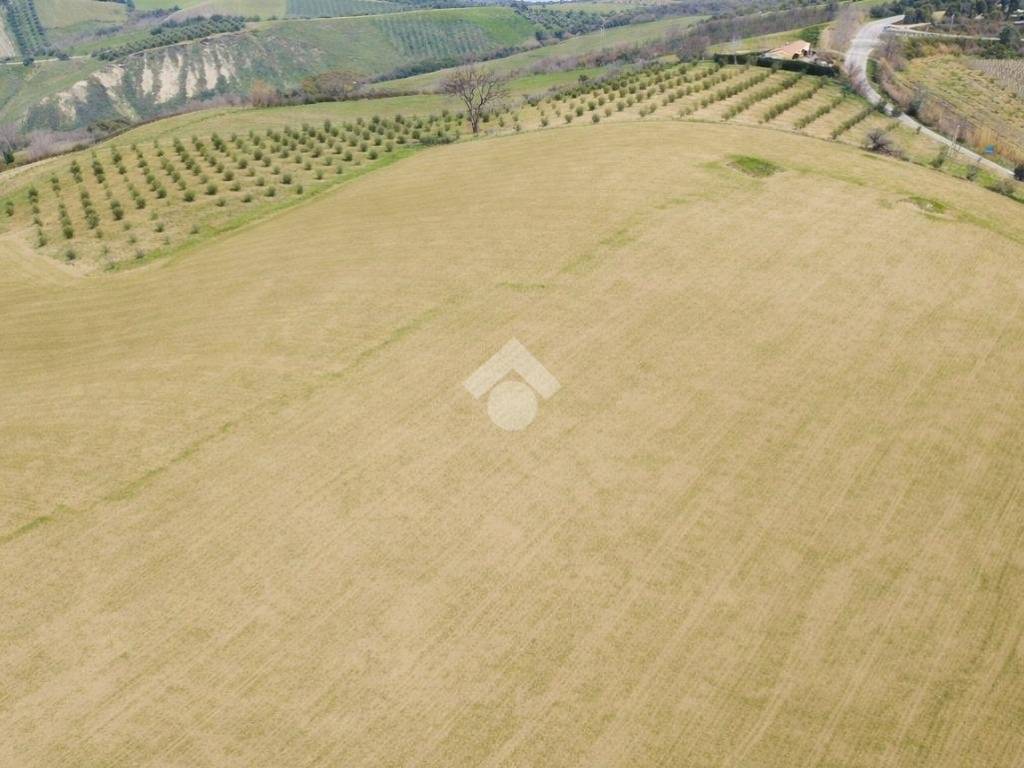 Terreno a Notaresco in Contrada Vallevignale - Foto 3