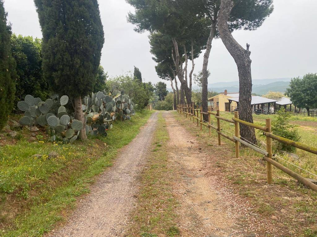 Rustico / casale a Magliano in toscana in Strada Provinciale Talamone - Foto 3