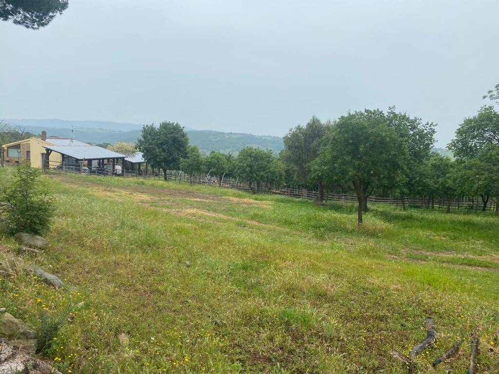 Rustico / casale a Magliano in toscana in Strada Provinciale Talamone - Foto 5