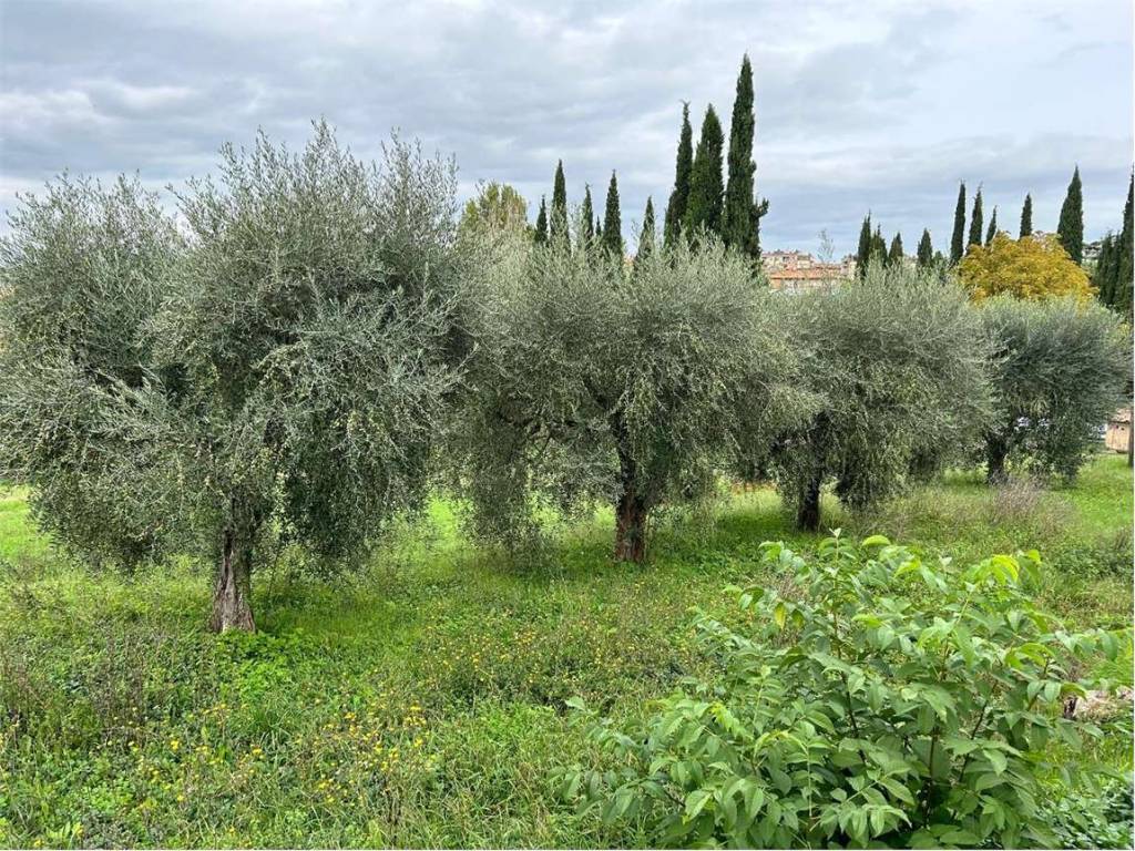 Terreno a Perugia in loc. San Fortunato della collina - Foto 2