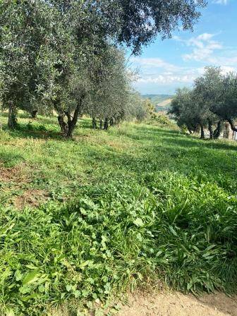 Terreno a Capena in Via Provinciale Capena - Foto 5