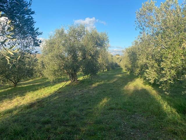 Rustico / casale a Grosseto in Case Sparse Molino Poggio Cavallo - Foto 4
