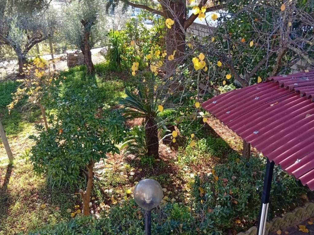 Casa indipendente a Cisterna di latina - Foto 2