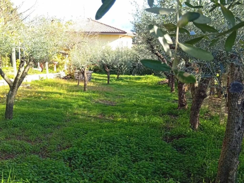 Casa indipendente a Cisterna di latina - Foto 4