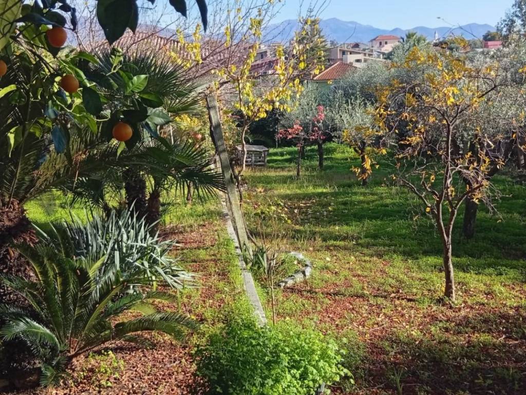 Casa indipendente a Cisterna di latina - Foto 5
