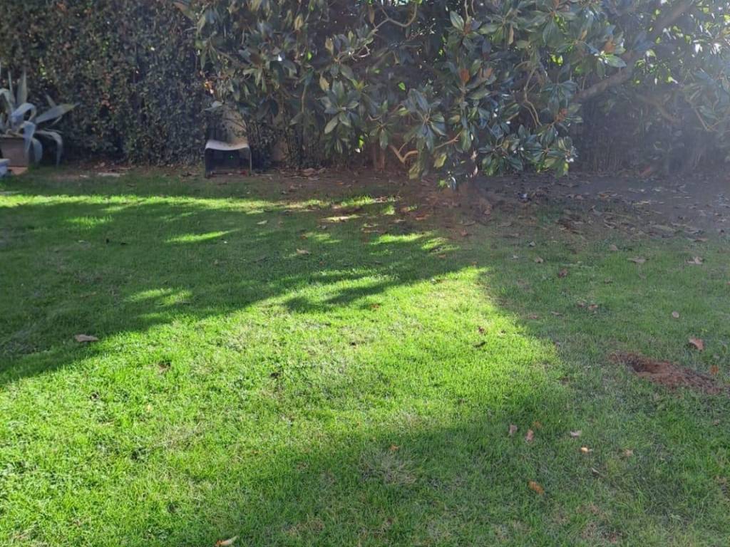 Villa a Capannori - Foto 2