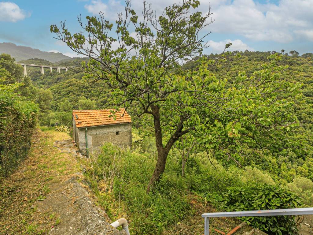 Villa a Deiva marina in Via Luigi Carneglia - Foto 4