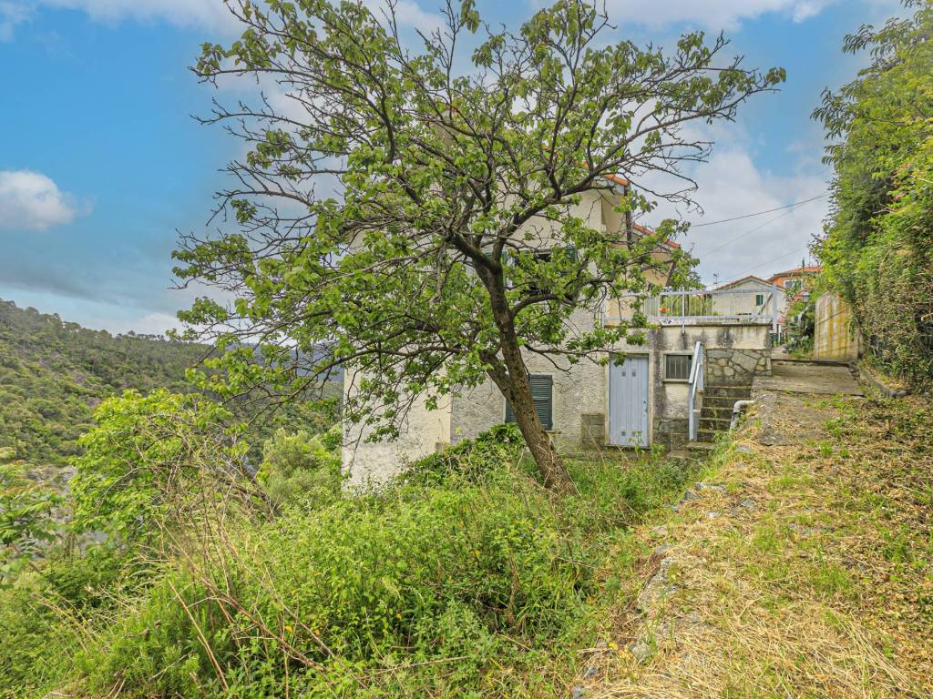 Villa a Deiva marina in Via Luigi Carneglia - Foto 5