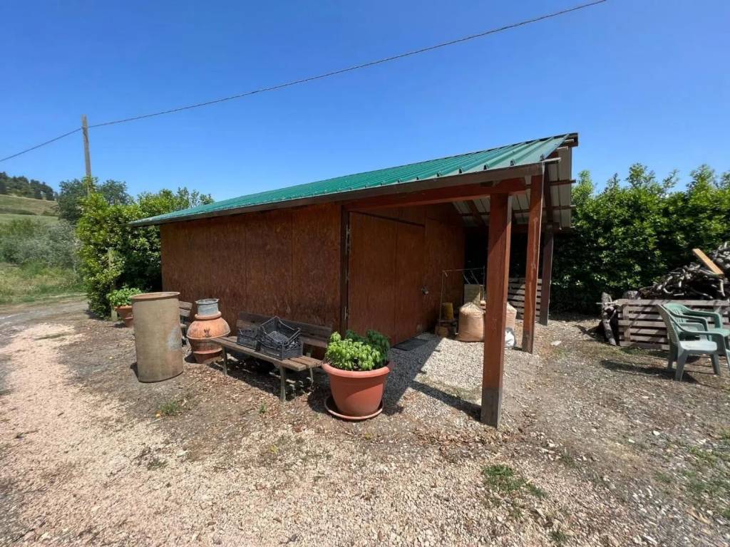 Terreno a Bibbona - Foto 2