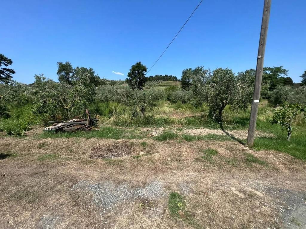 Terreno a Bibbona - Foto 4