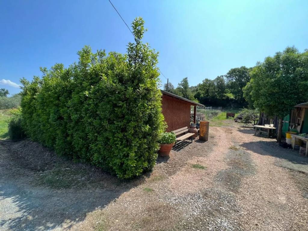 Terreno a Bibbona - Foto 5