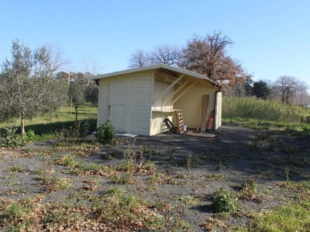 Terreno a Bibbona in Strada Provinciale Della Camminata - Foto 2