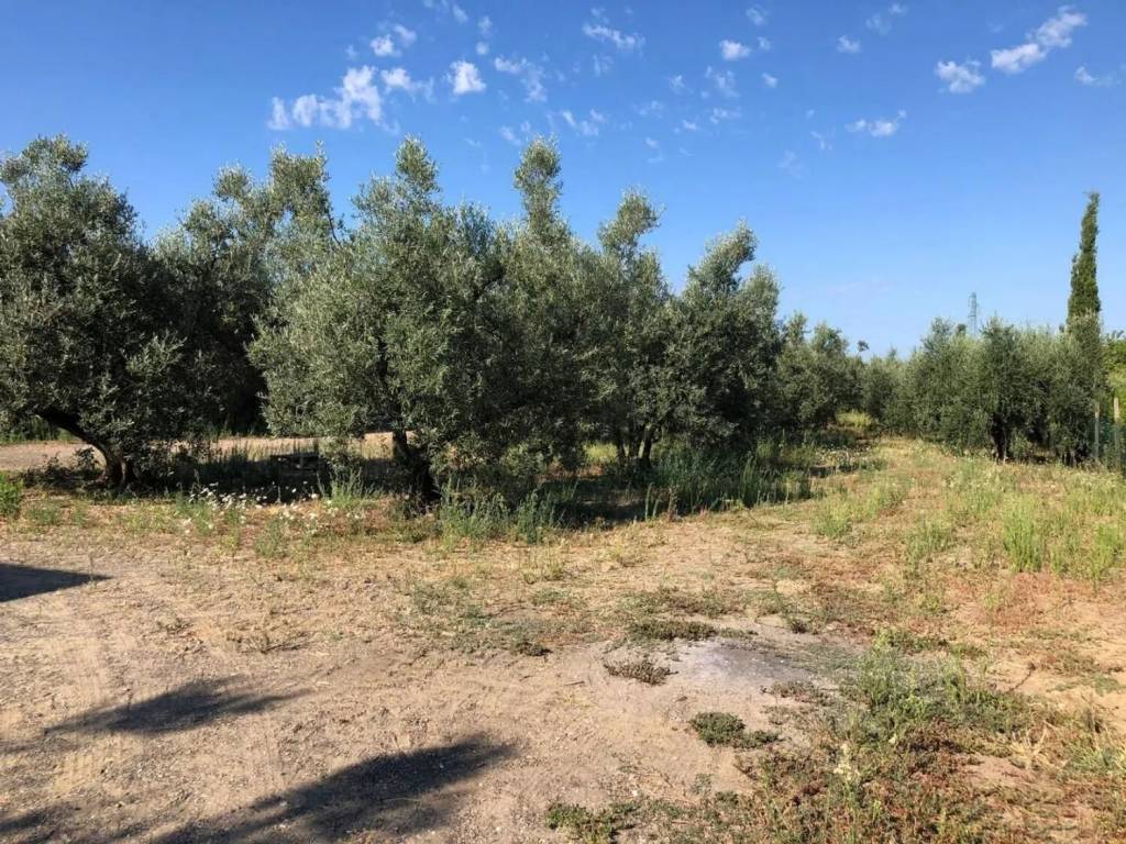 Villa a Cecina in Urb. Collemezzano Alto San Pietro In Palazzi-Collemezzano-Buca Del Gatto - Foto 2