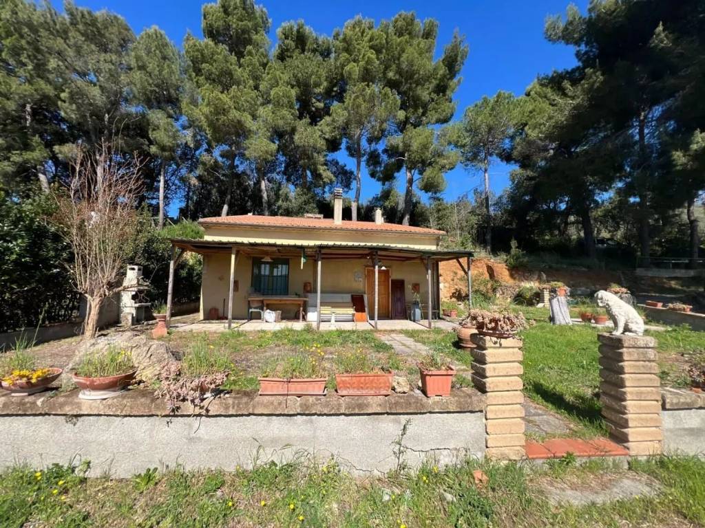 Rustico / casale a Bibbona in Via Della Camminata Est - Foto 5