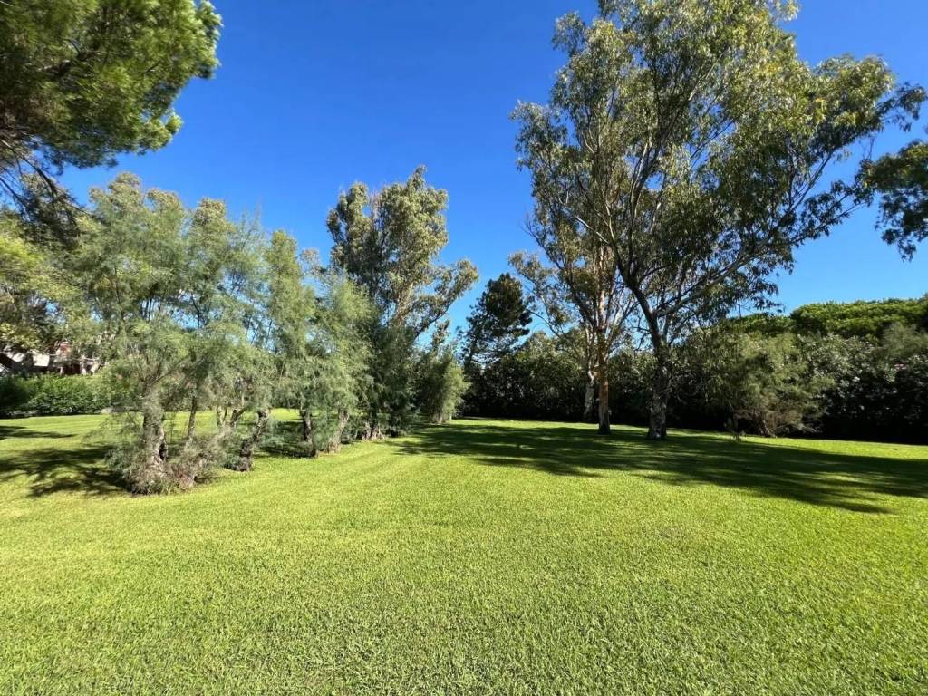 Appartamento a Bibbona in Via Dei Cavalleggeri Sud - Foto 2