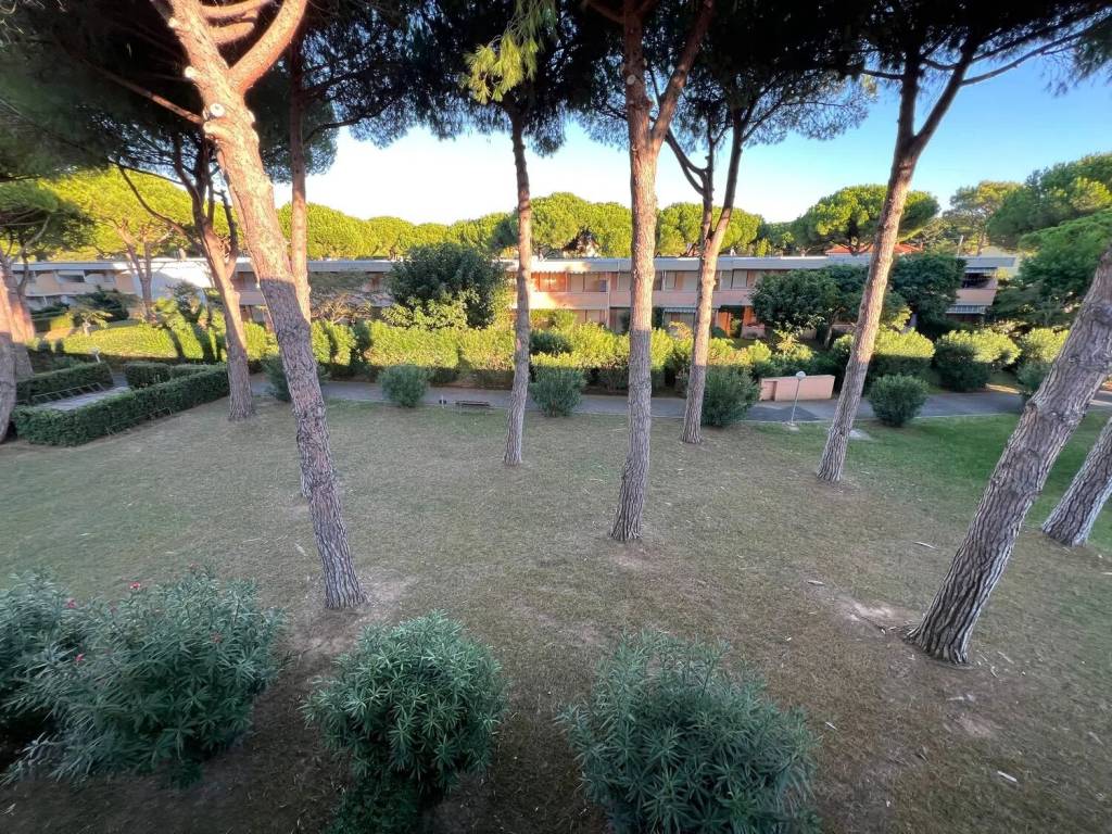 Appartamento a Bibbona in Via Dei Cavalleggeri Nord - Foto 4