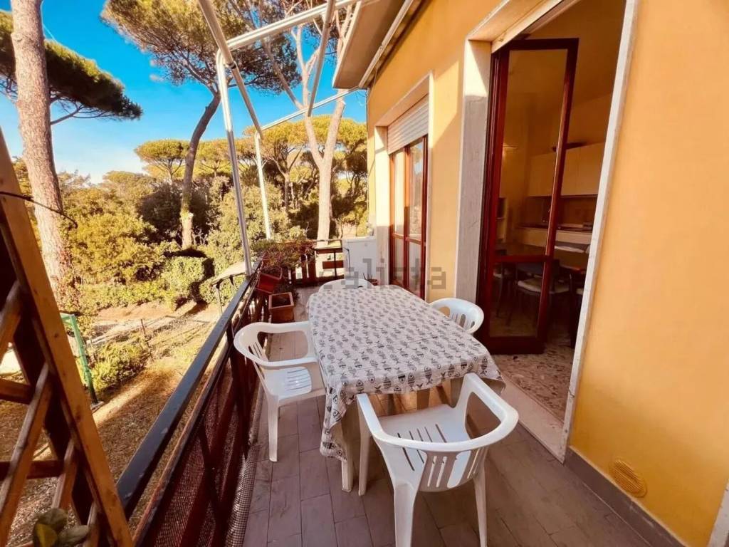 Appartamento a Bibbona in Via Dei Cavalleggeri Nord - Foto 2