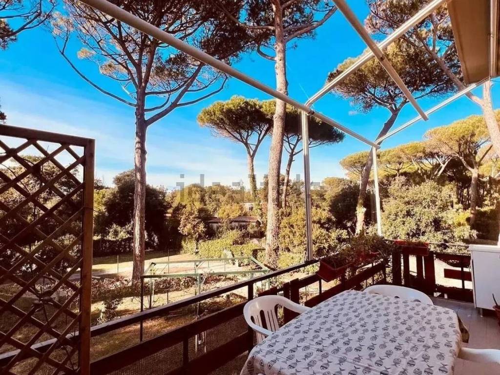 Appartamento a Bibbona in Via Dei Cavalleggeri Nord - Foto 3