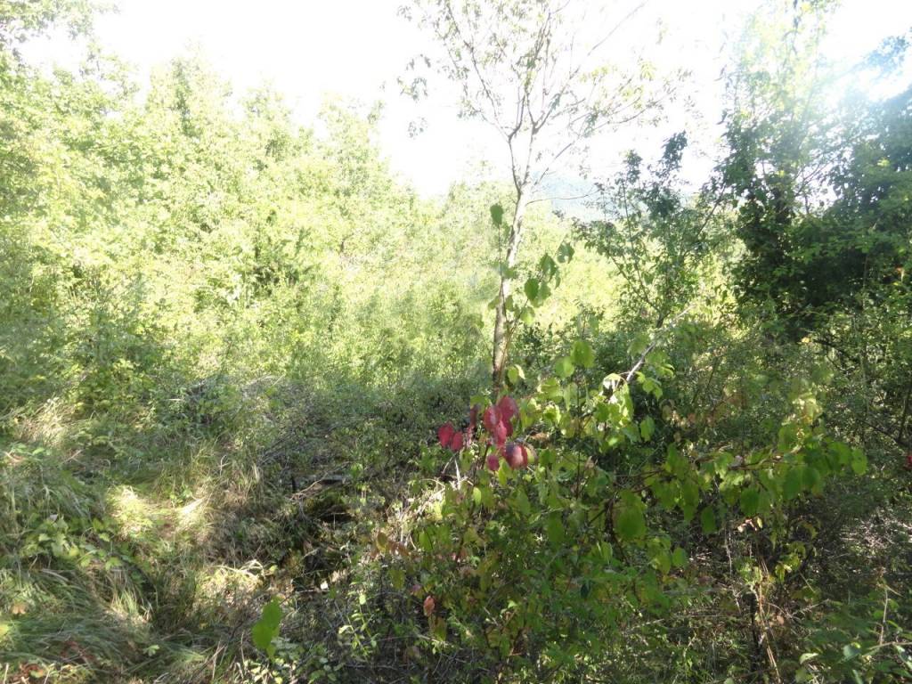 Immobile a Novafeltria in Novafeltria - Foto 4