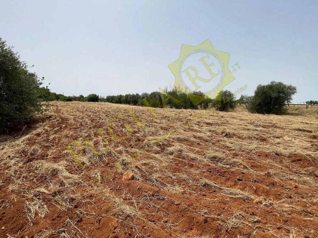 Terreno a Conversano in Via Martucci No Number - Foto 2