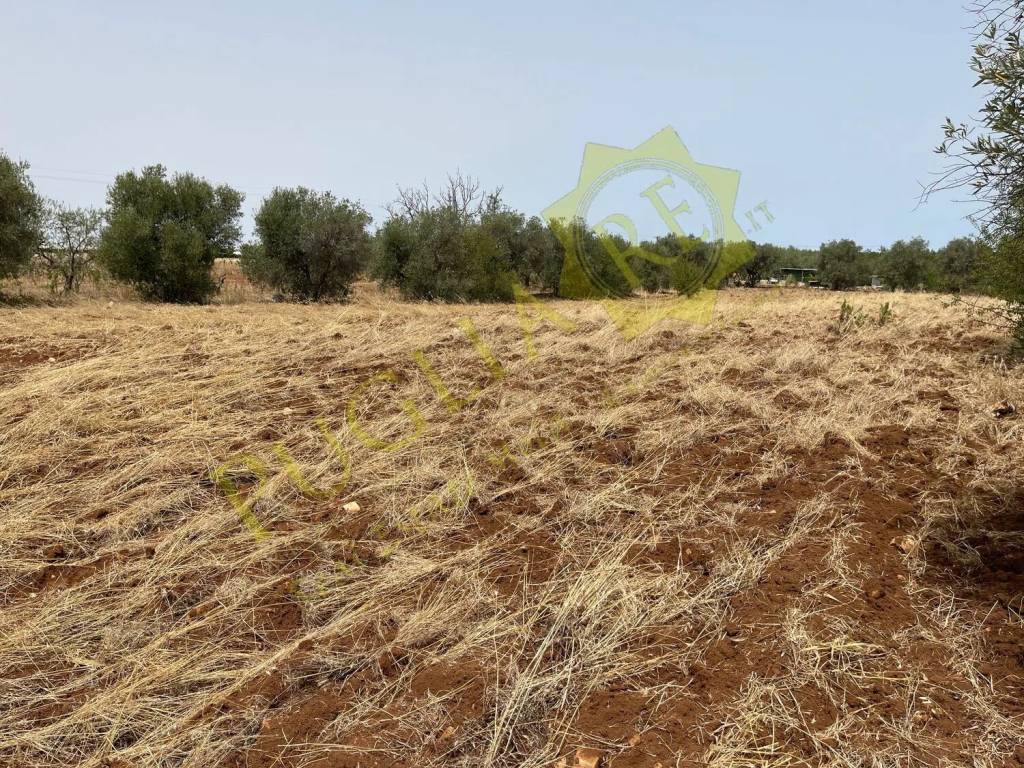 Terreno a Conversano in Via Martucci No Number - Foto 3