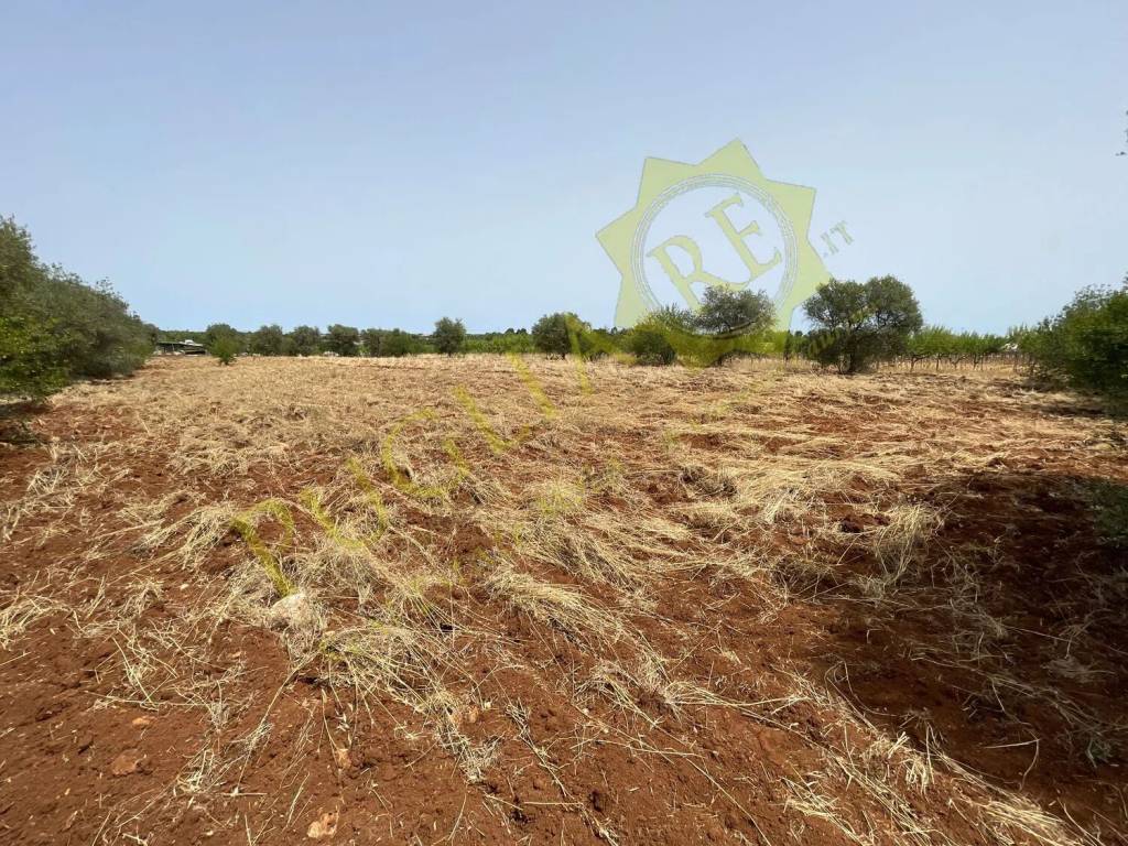 Terreno a Conversano in Via Martucci No Number - Foto 4