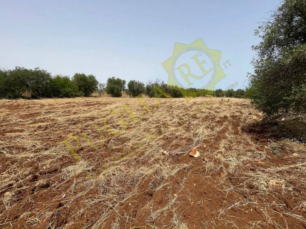 Terreno a Conversano in Via Martucci No Number - Foto 5