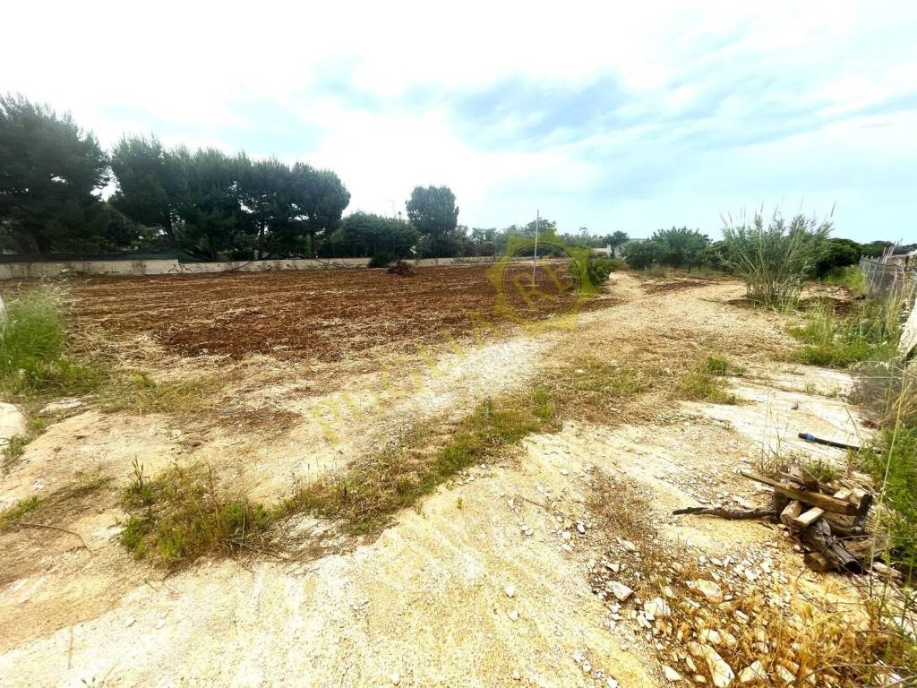 Terreno a Mola di bari in Contrada Purgatorio No Number - Foto 5
