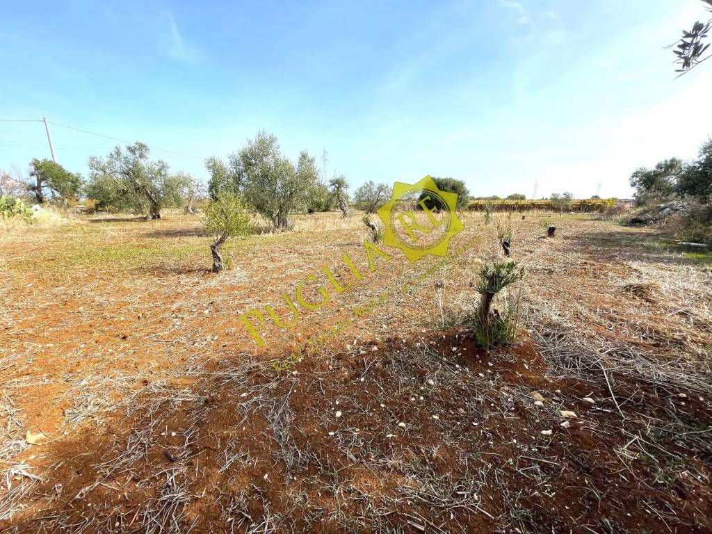 Terreno a Mola di bari in Contrada Cappella - Foto 2
