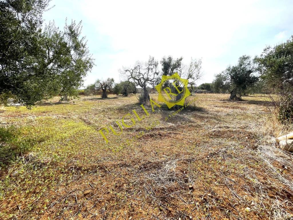 Terreno a Mola di bari in Contrada Cappella - Foto 3