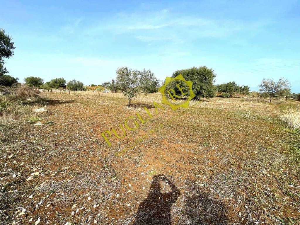 Terreno a Mola di bari in Contrada Cappella - Foto 5