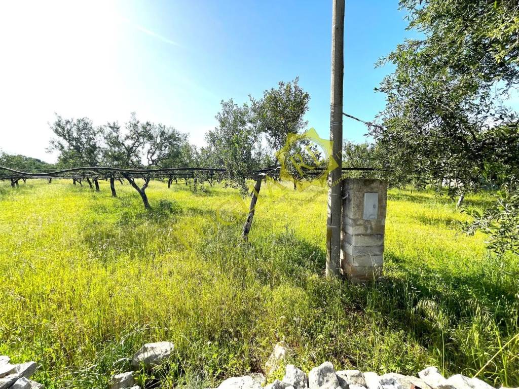 Terreno a Mola di bari in Vicinale Del Conte No Number - Foto 4